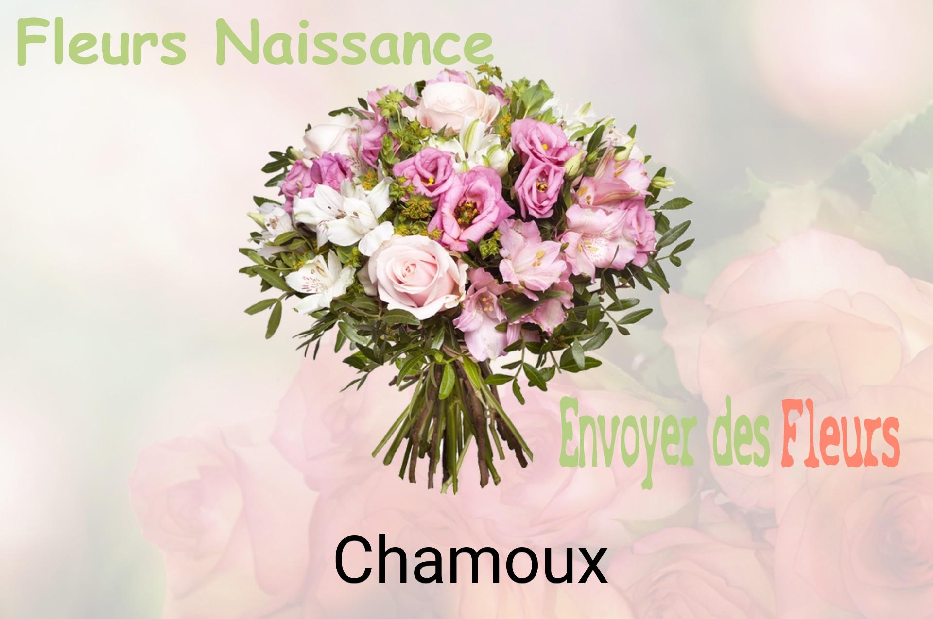 Bouquet de fleurs de naissance livré à Chamoux