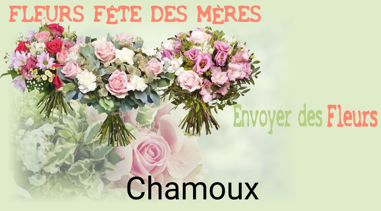 Bouquet de Fête des Mères livré à Chamoux